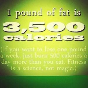 fat versus calories